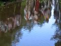 IMG_3477_thumb.png