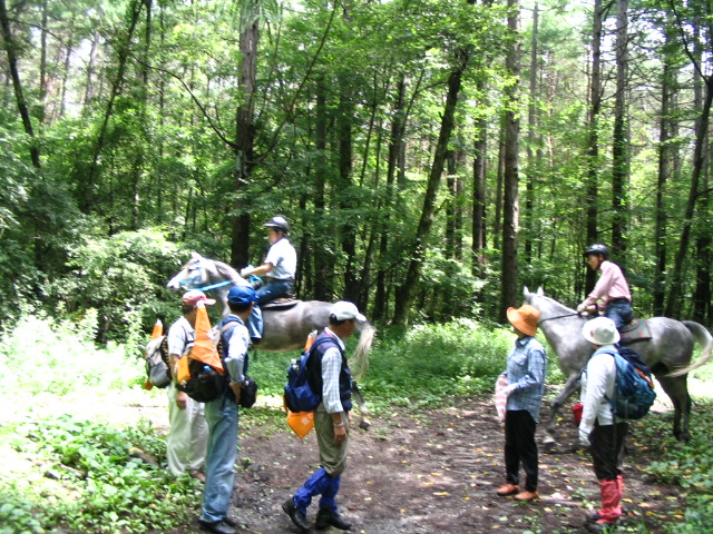 IMG_3561.JPG