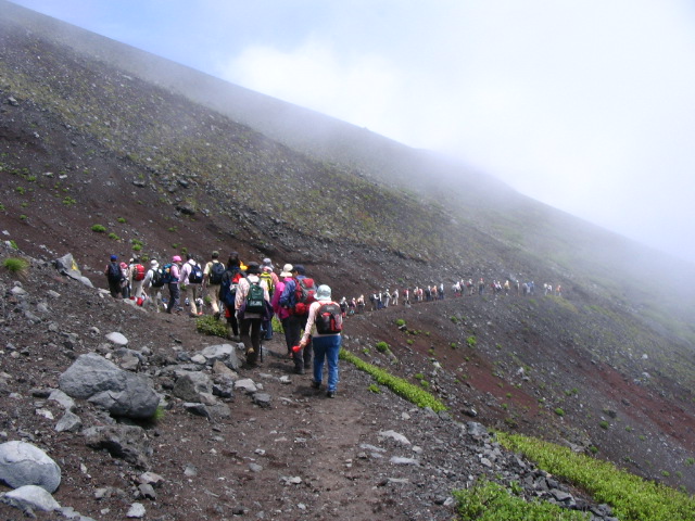 IMG_2595.JPG