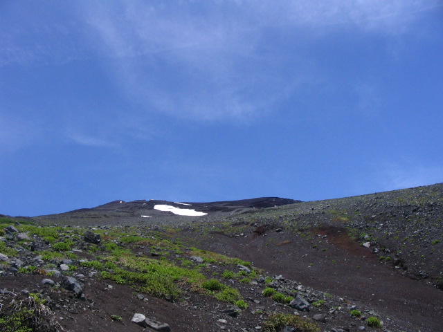 IMG_2604.JPG