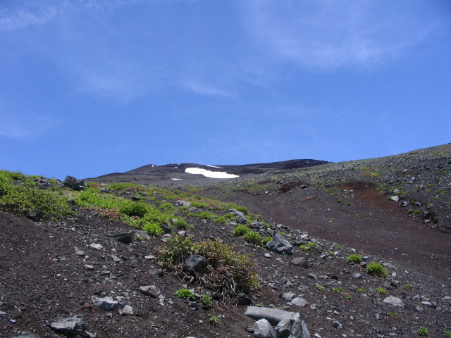 IMG_2611.JPG