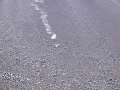 IMG_2680_thumb.png