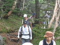IMG_2731_thumb.png