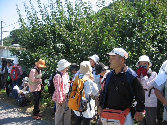 IMG_1903.JPG