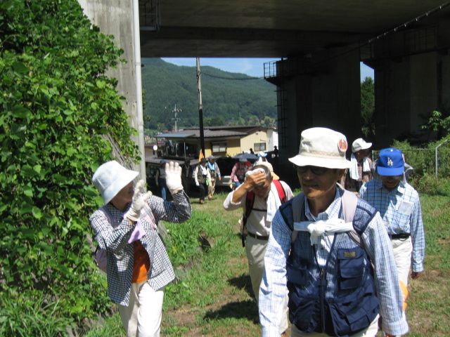 IMG_1935.JPG