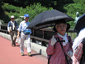IMG_1966_thumb.png