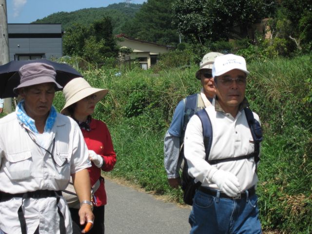 IMG_1986.JPG