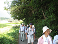 IMG_0780_thumb.png