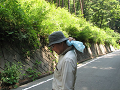 IMG_0810_thumb.png