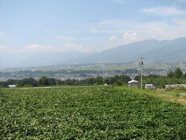 IMG_0821.JPG