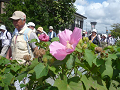 img_8175_thumb.png