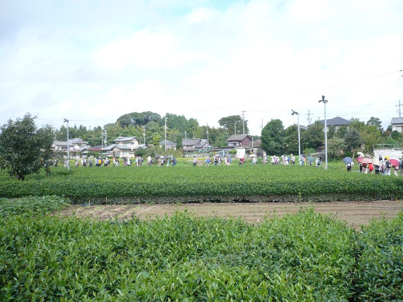 img_8044.jpg