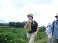 img_8061_thumb.png