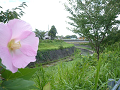 img_8112_thumb.png