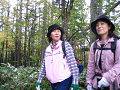 IMG_7772_thumb.png