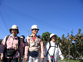 IMG_8487_thumb.png