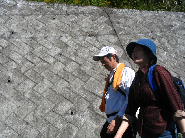 IMG_8536.JPG