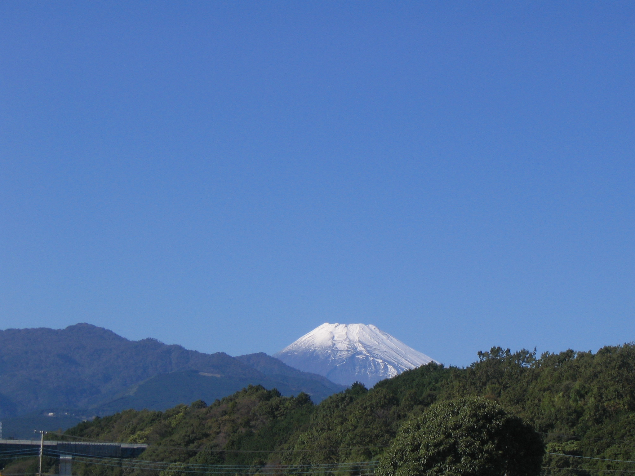 IMG_8588.JPG