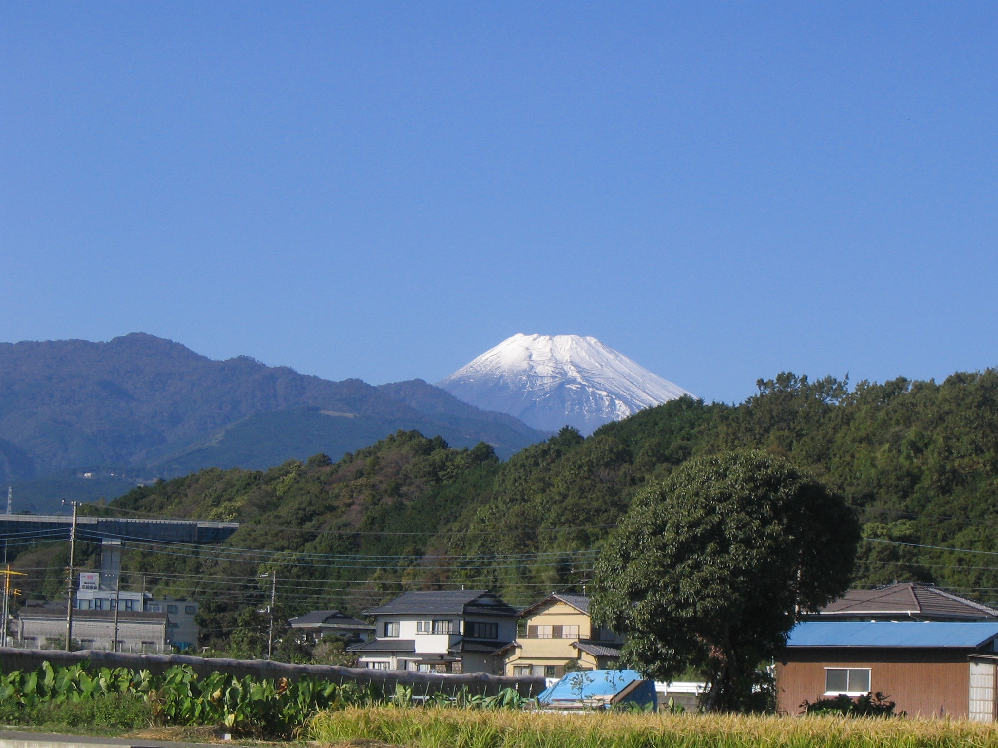 IMG_8589.JPG