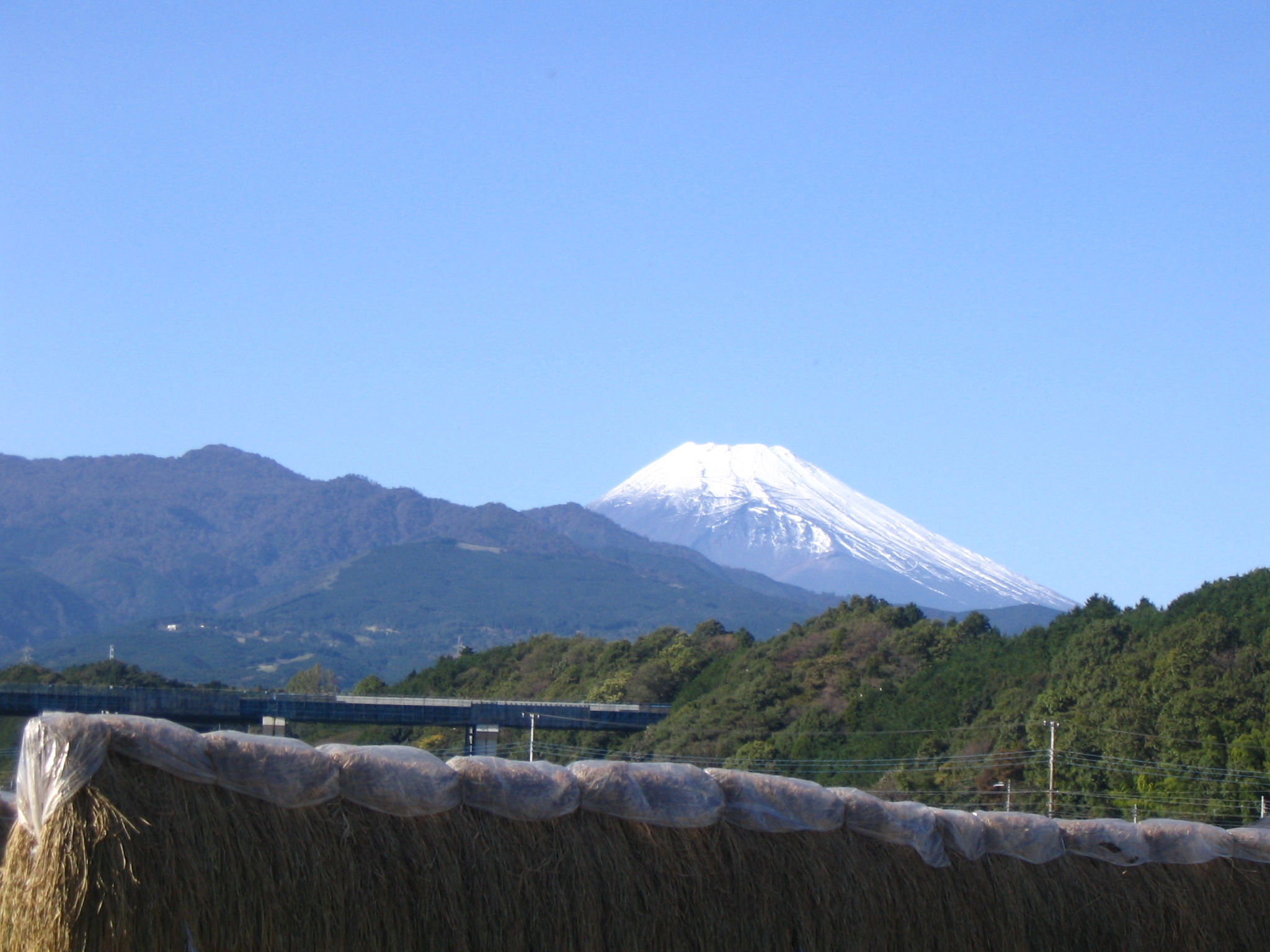 IMG_8600.JPG