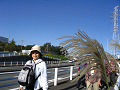 IMG_8605_thumb.png