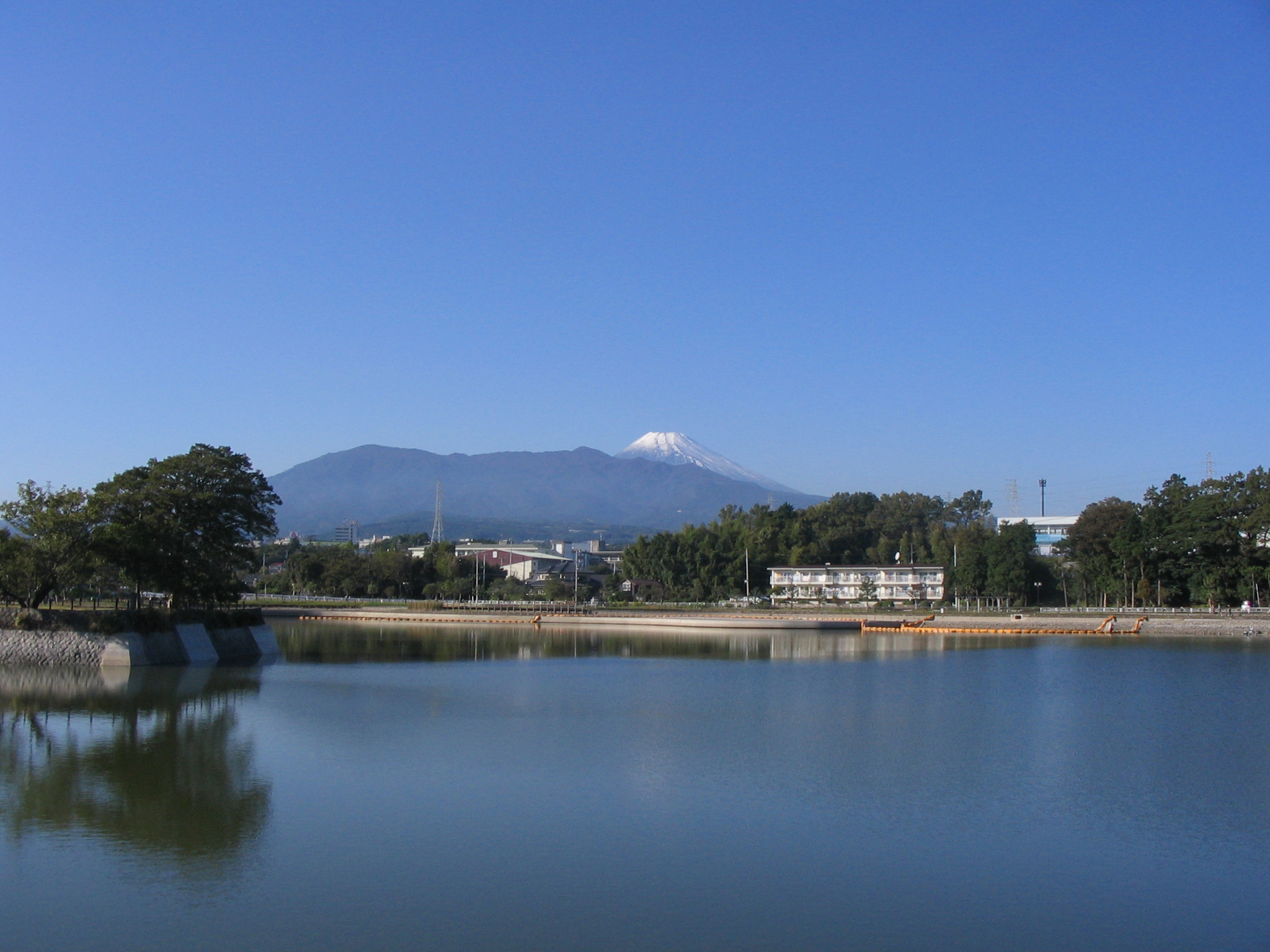 IMG_8620.JPG