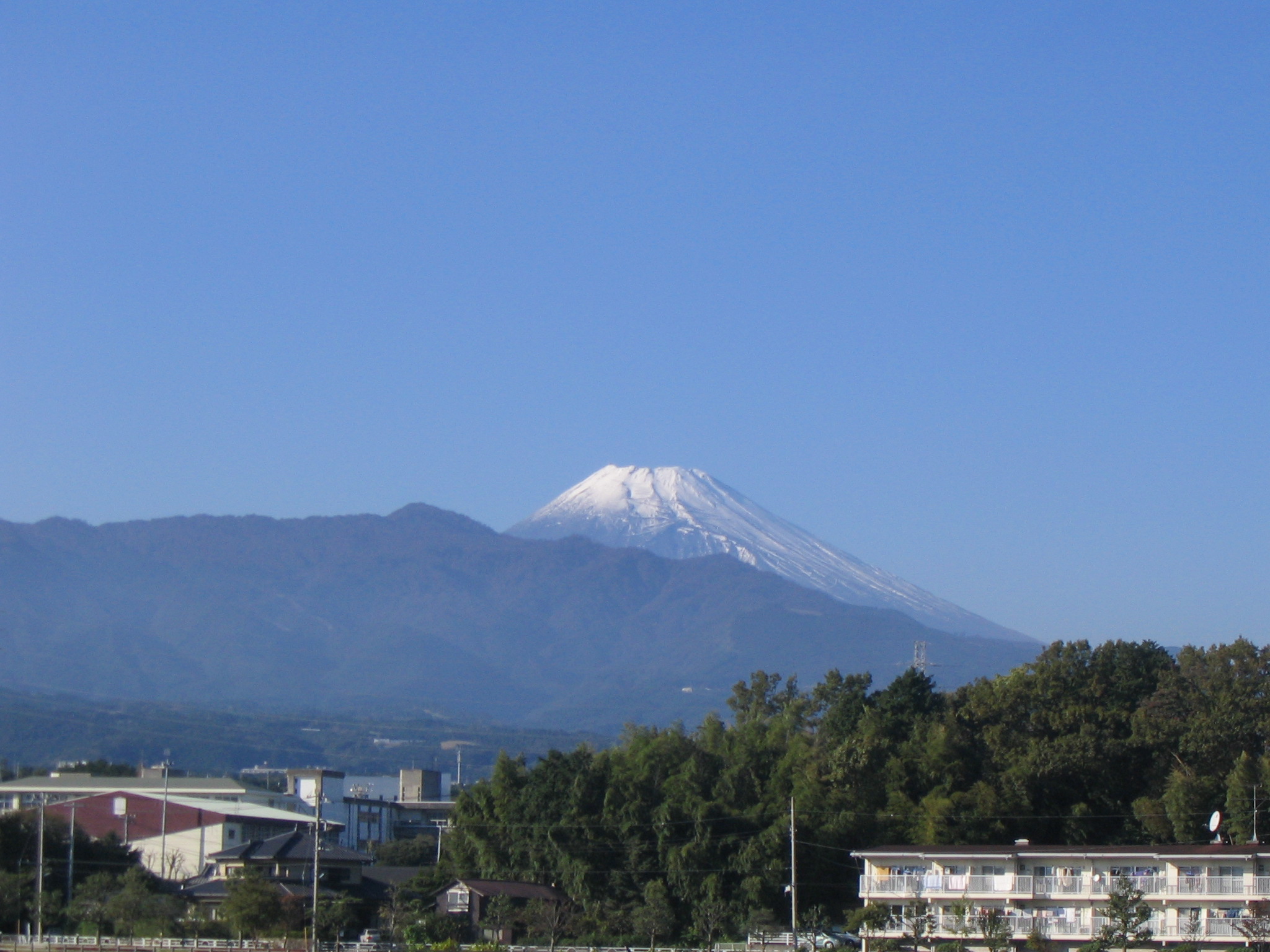 IMG_8621.JPG