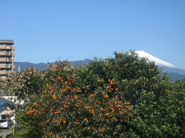 IMG_8058.JPG