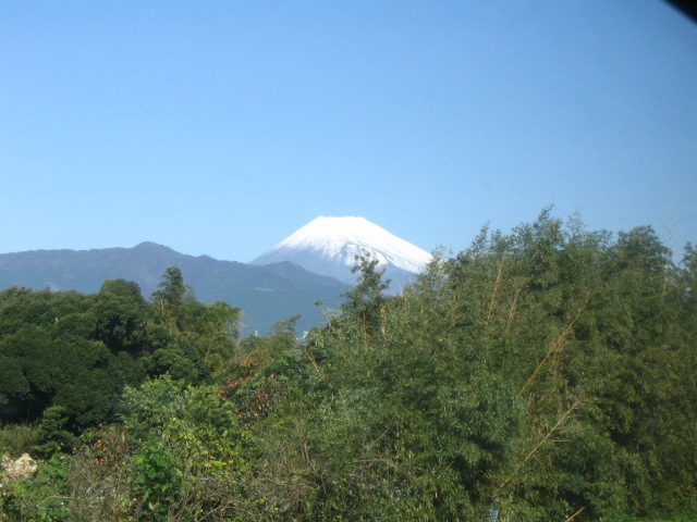 IMG_8061.JPG