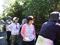 IMG_8135_thumb.png