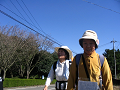 IMG_8192_thumb.png