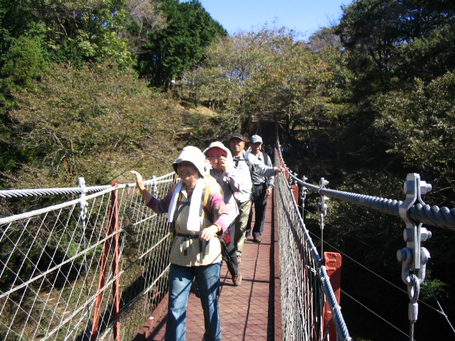 IMG_8380.JPG