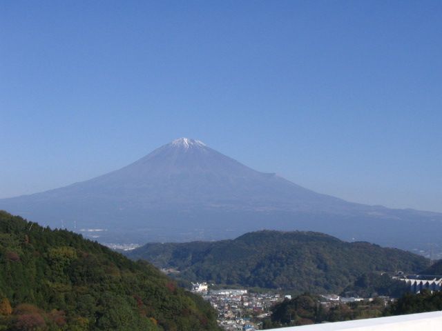 IMG_9317.JPG