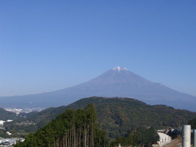IMG_9367.JPG
