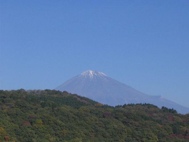 IMG_9389.JPG