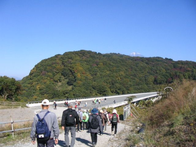 IMG_9400.JPG