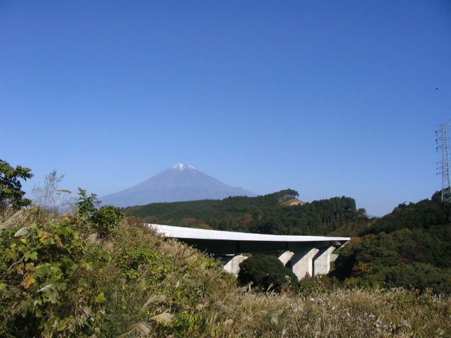 IMG_9503.JPG