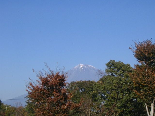 IMG_9556.JPG