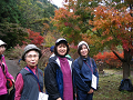 IMG_8905_thumb.png
