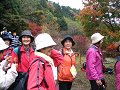 IMG_8906_thumb.png