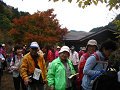 IMG_8908_thumb.png