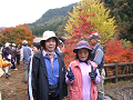 IMG_8911_thumb.png