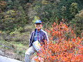 IMG_8913_thumb.png