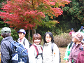 IMG_8917_thumb.png