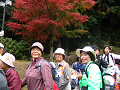 IMG_8918_thumb.png