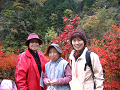 IMG_8932_thumb.png