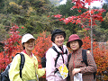 IMG_8952_thumb.png