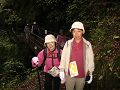 IMG_9051_thumb.png