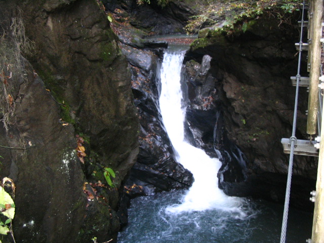 IMG_9052.JPG