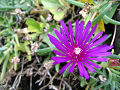IMG_9184_thumb.png